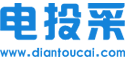 电投采
